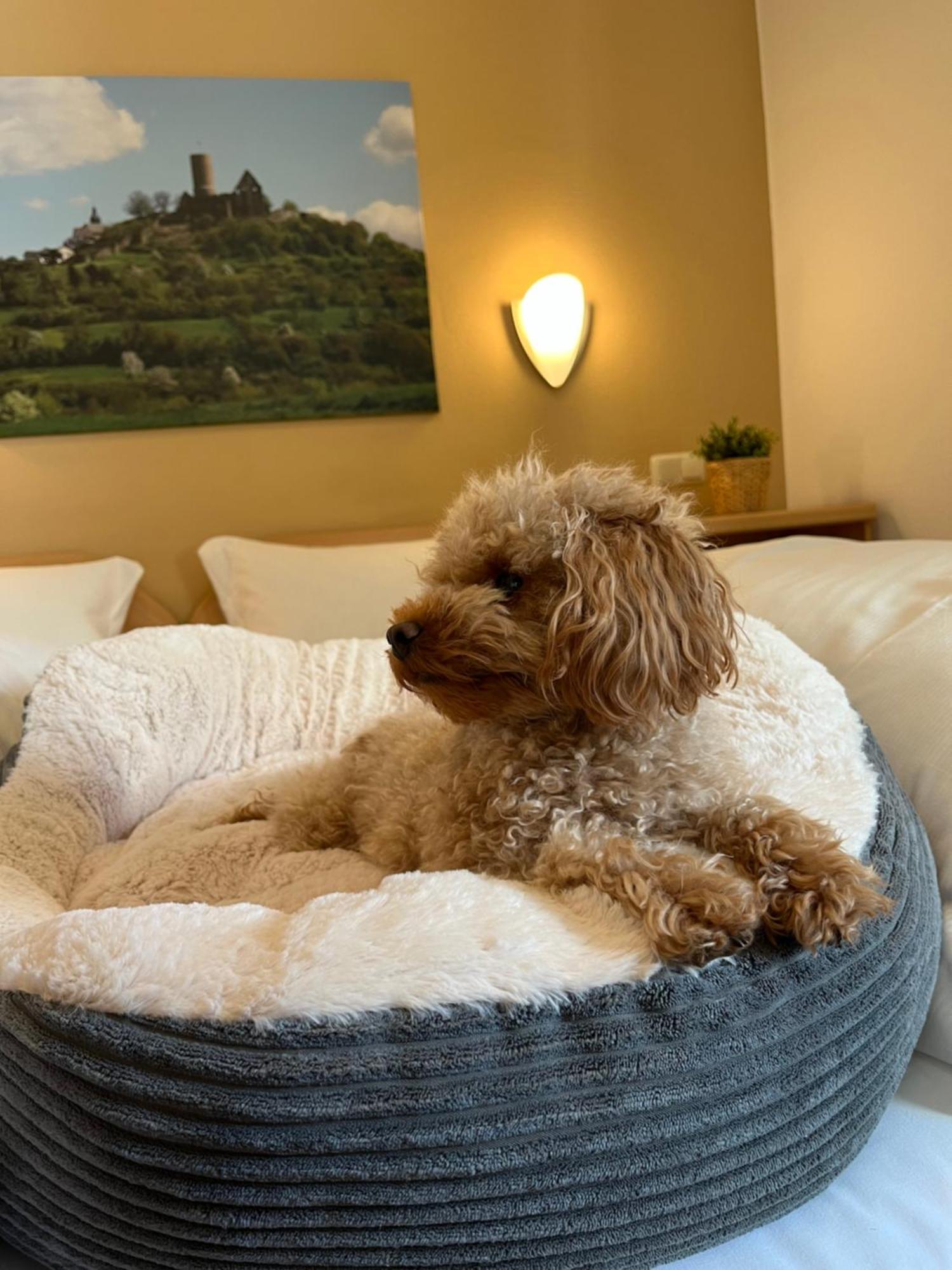 Hotel An Der Burg 3*